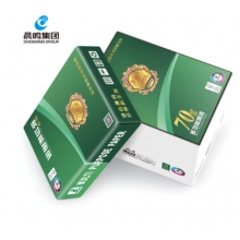 晨鳴chenming金銘洋A4打印紙復(fù)印紙70克木漿紙a4打印紙厚款多功能復(fù)印紙辦公室文件打印 金銘洋70克A4-5包